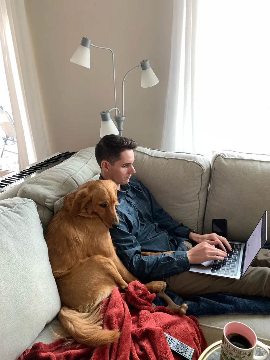 Ben’s dog resting