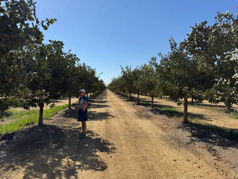 Ben's 1x1x1 - Pistachio Farms 🌳 - October 2, 2025 🚀