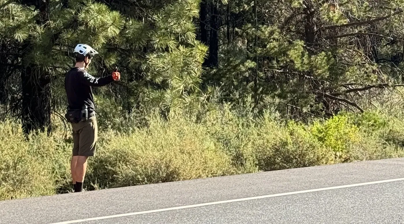 A mountain biker in a white helmet and dark jersey stands at the edge of a forest road looking at his phone