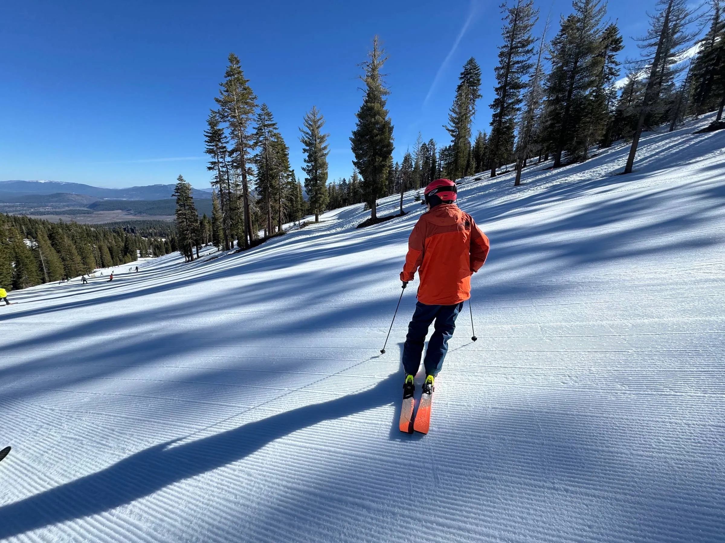 A skier in an orange jacket heading down a freshly groomed snowy slope lined with pine trees under a clear blue sky
