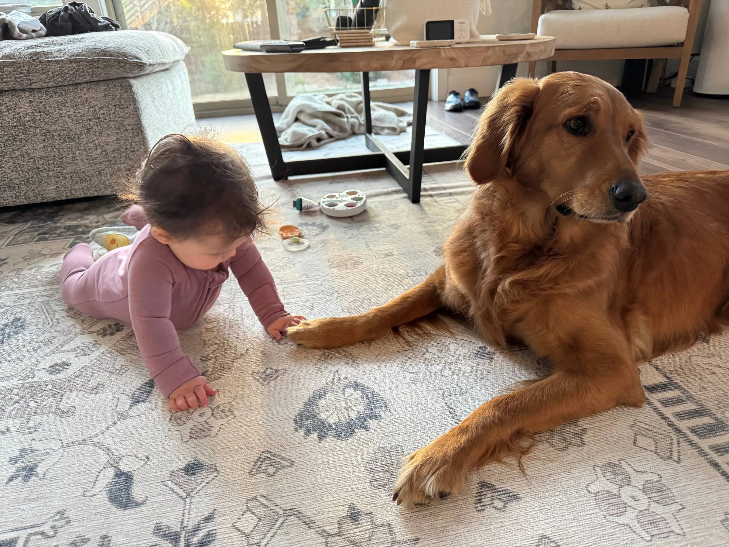 Ben’s baby daughter in a purple onesie crawling across a patterned rug to touch the paw of the family’s golden retriever