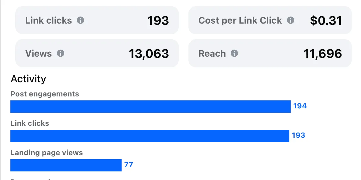 Meta ad campaign metrics showing 193 link clicks at $0.31 cost per click, 13,063 views, and 11,696 reach