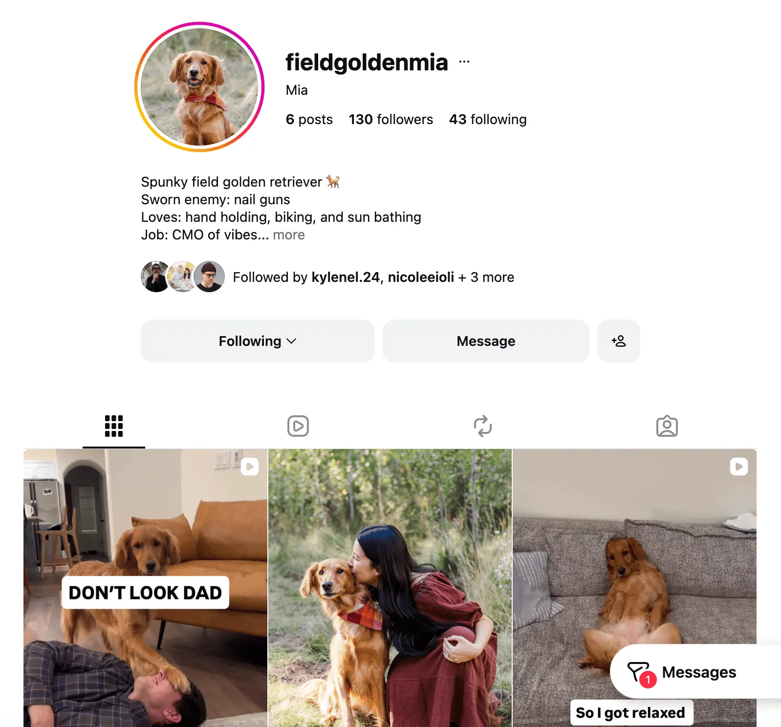 Screenshot of the Instagram profile for Mia, the authorâs golden retriever dog-influencer account