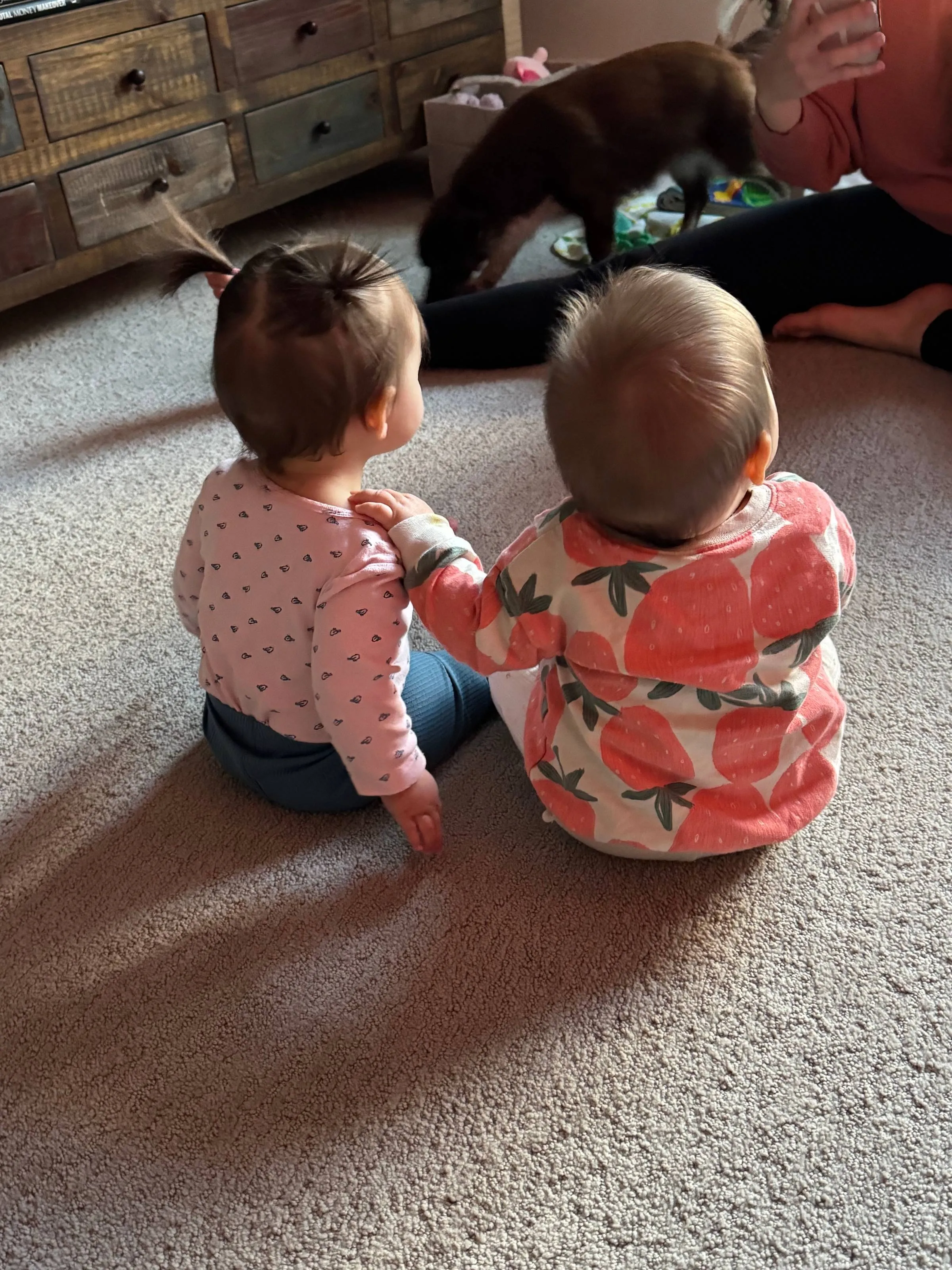 Two babies seen from behind sitting on the floor, one resting a hand on the other’s shoulder, with a dog and an adult nearby
