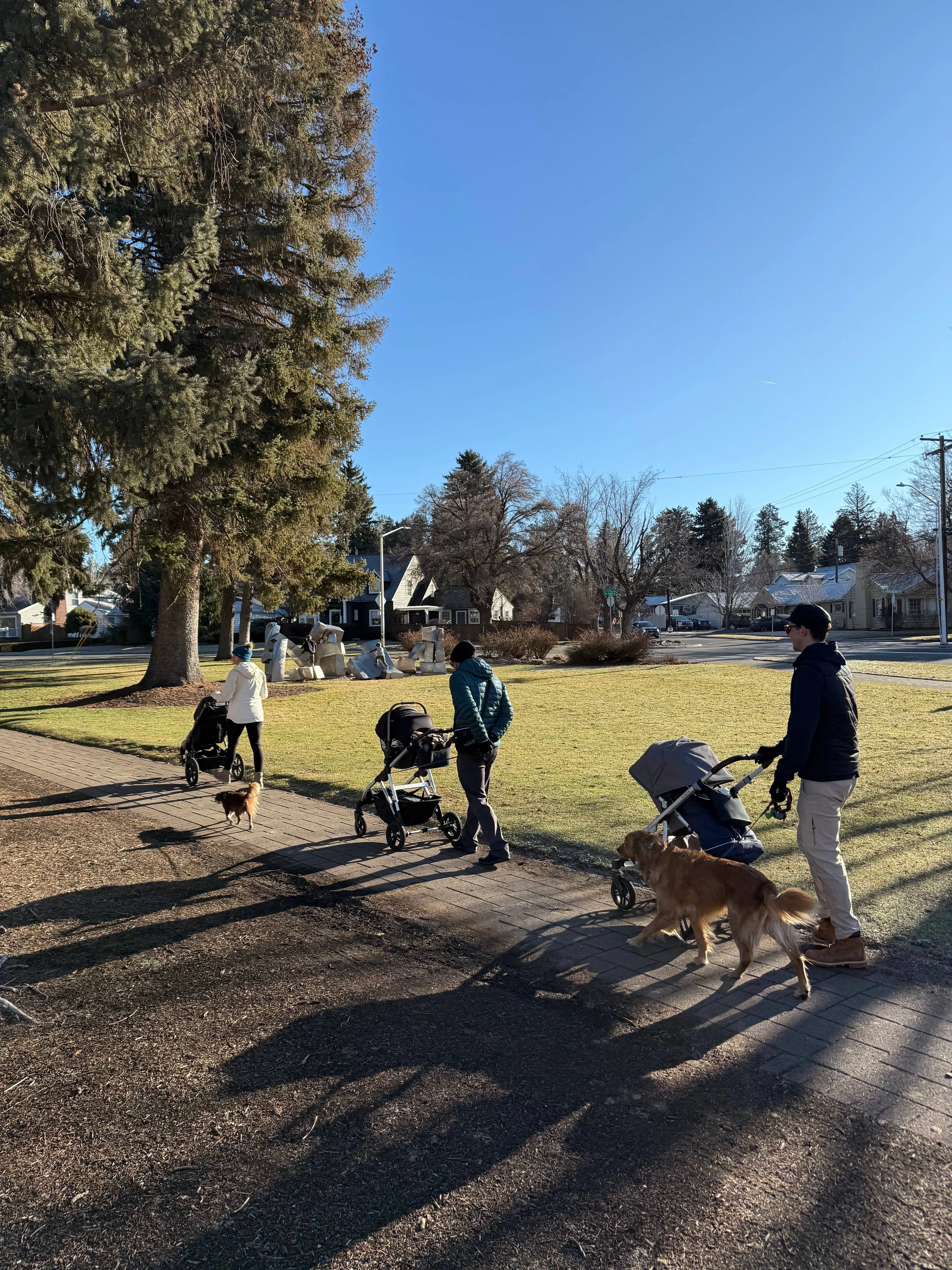 Three people pushing strollers and walking golden retrievers along a sunny park path in a snowy residential neighborhood