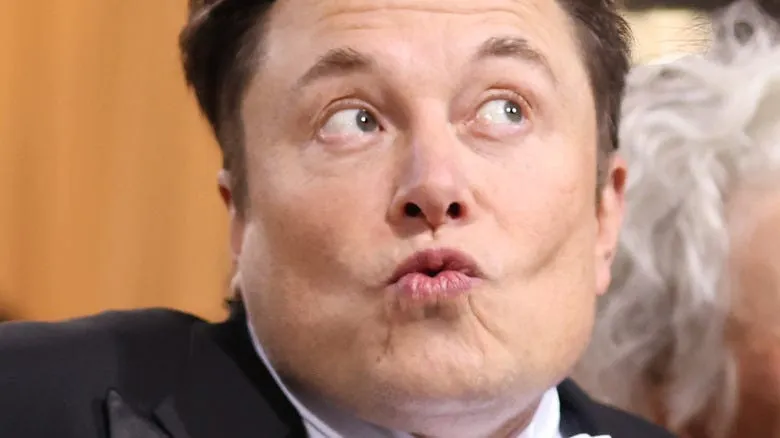 Elon Musk photo