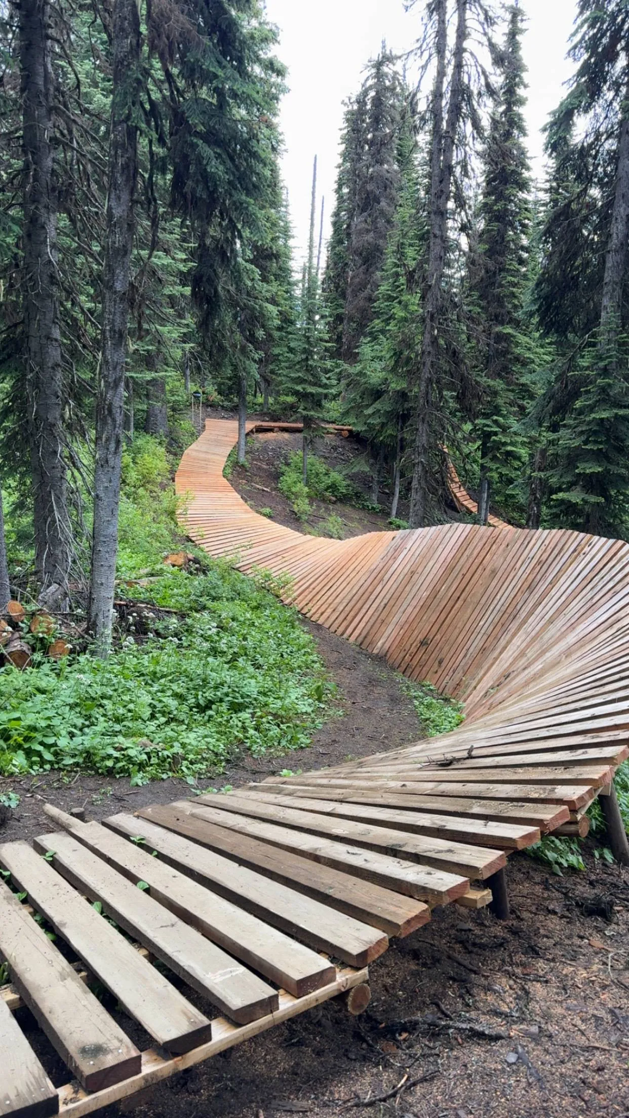 Curving wooden boardwalk mountain bike trail winding through a green evergreen forest