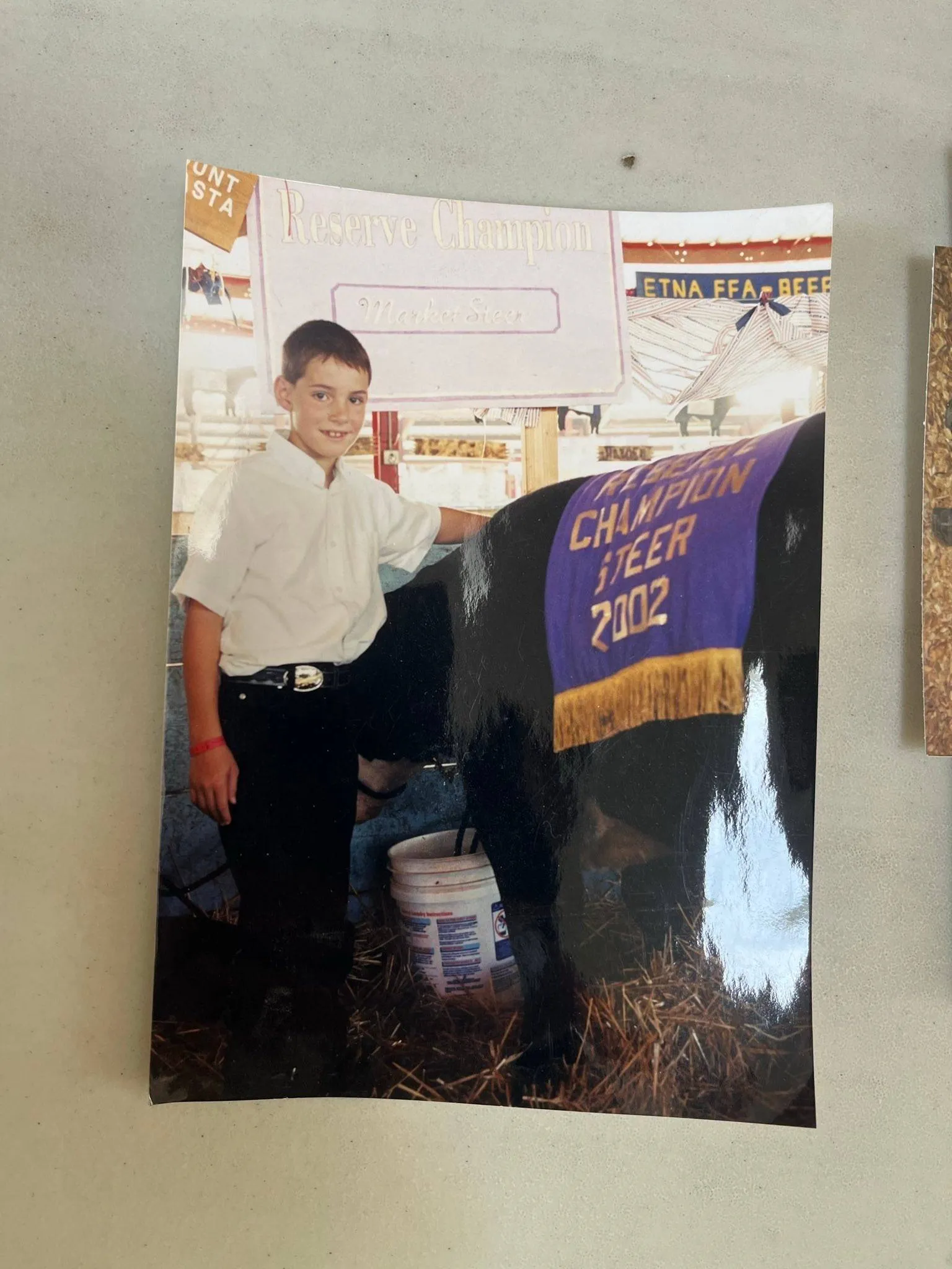 A young boy in a white shirt stands beside his black steer under a “Reserve Champion Market Steer” sign, with a purple 2002 Champion Steer banner draped over the animal