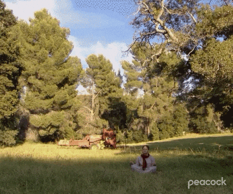Animated clip of a person sitting cross-legged, meditating in a sunlit grassy field surrounded by trees