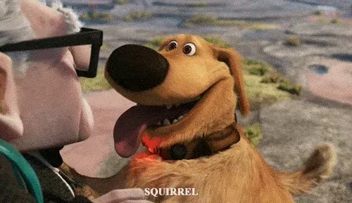 Animated Pixar Up clip of Dug the dog snapping his head to the side, distracted, with the caption โSQUIRRELโ